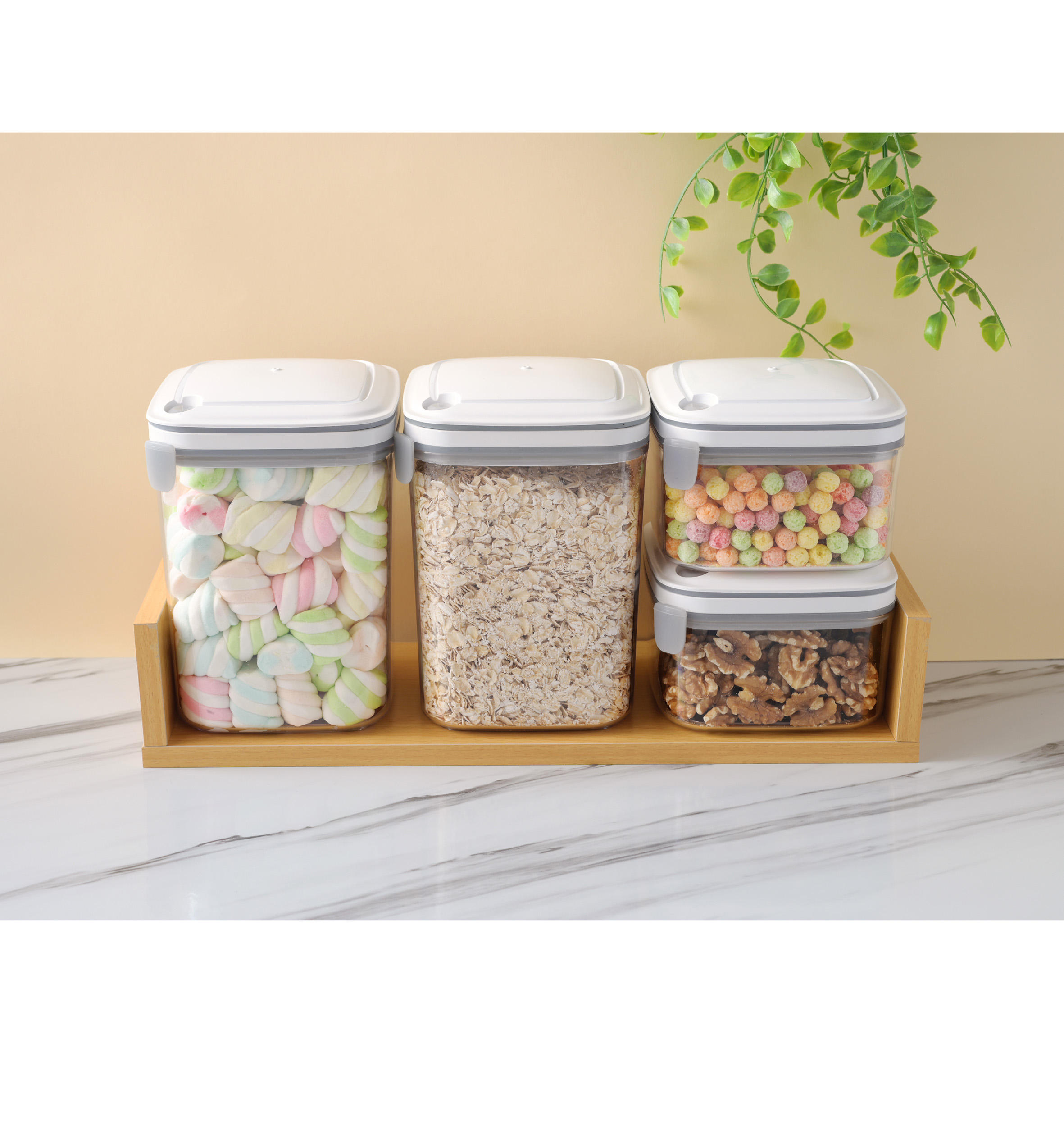 โปร่งใส