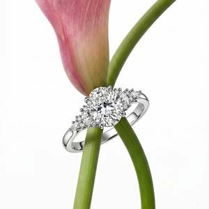 Bague de fiançailles Jeulia à sertissage cathédrale, coupe ovale, style cluster, tendance - Product Image 4