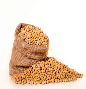 Frijoles de soja/Semilla de soja seca amarilla no OGM de alta calidad/Frijoles de soja a La NON-GMO - Product Image 4