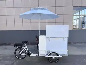 Pasokan langsung dari pabrik dari 200L sepeda es krim listrik seluler DC 12V keranjang es krim untuk pasar Asia Tenggara