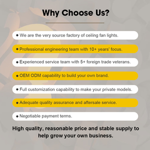 # 2540 Ventilador de Techo con Lámpara LED Retráctil de 42 Pulgadas, Motor DC Silencioso, Control Remoto, Abanicos de Techo, OEM de Fábrica - Product Image 6