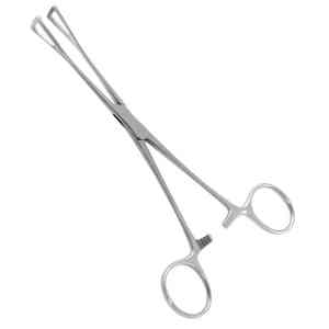 Pinces de maintien de tissus et d'organes Collin de haute qualité Pinces de maintien de tissus et d'organes Collin en acier inoxydable de taille personnalisée - Product Image 5