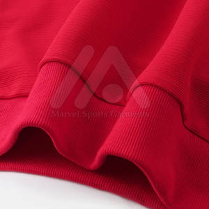 Pull à capuche surdimensionné pour hommes de haute qualité Streetwear à la mode personnalisé pour la saison d'automne en gros Sweats à capuche personnalisés - Product Image 6