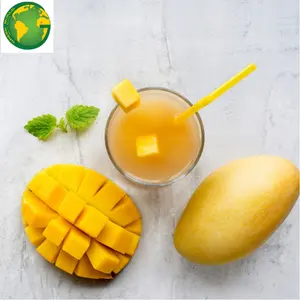 FROZEN MANGO PUREE/PULP - FROM VIETNAM WHOLESALER AT AN AFFORDABLE PRICE - THE BEST FRUIT FROM VIETNAM WITH PREMIUM QUALITY