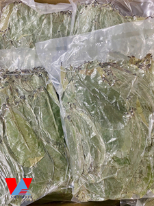 MEJOR PRECIO HOJA DE GUANÁBANA SECADA/ HOJAS DE GRAVIOLA DE VIETNAM / Sra. Lima - Product Image 5