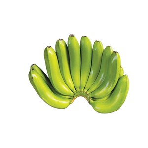 Exportation précise-Assurer la perfection dans chaque envoi de bananes Cavendish - Product Image 5