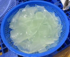 Dés d'aloe vera du Vietnam pour l'exportation avec texture croustillante et cubes frais - Product Image 2