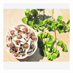 Feuille de Moringa pure et extrait de graines de Moringa produit agricole à double avantage - Product Image 6