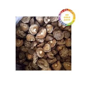 Champignons Shiitake séchés frais, champignons séchés naturels de 99 Gold Data, fournisseur fiable offrant des offres en gros - Product Image 2