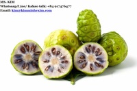 Verse biologische Noni-fruit, ISO-gecertificeerd, 10kg, KMI-merk, met voordelige prijs. HP 0084 917 476 477