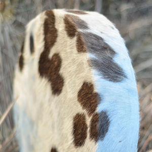 Tambor Chamánico Hecho a Mano |   Tambor de Cuero Natural |   Instrumento Tradicional para Rituales y Sanación con Sonido - Product Image 2