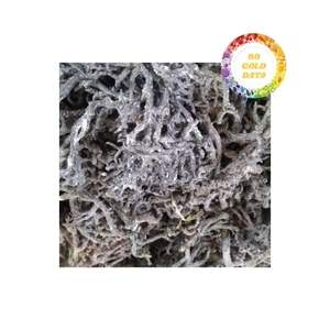 Algues cottonii séchées au soleil de haute qualité Ingrédient idéal pour les repas savoureux Collations saines et salades fraîches - Product Image 4