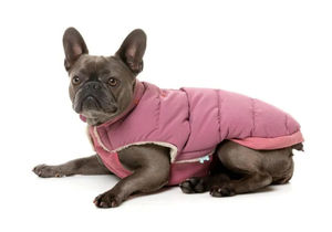 Sudaderas con capucha con logotipo personalizado para perros Abrigos y chaquetas transpirables de alta calidad de último estilo Ropa premium a la venta - Product Image 5