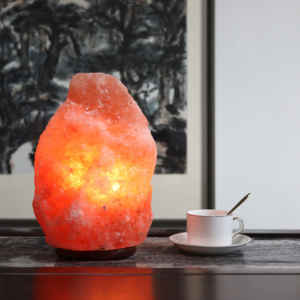 Lampe au sel naturel de l'Himalaya en forme de lune polie à la main par IMPEX PAKISTAN - Product Image 3