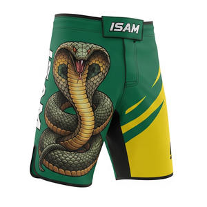 220 GSM Stretch Micro alta calidad transpirable secado rápido personalizable MMA Shorts Manufacturing Company - Product Image 1