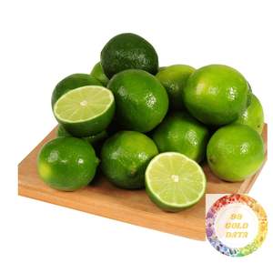 PREMIUM EXPORTATION FRAIS SANS GRAINES LIME VIETNAM FRUIT VERT MEILLEUR PRIX FOURNISSEUR POUR LE MARCHÉ MONDIAL - Product Image 1