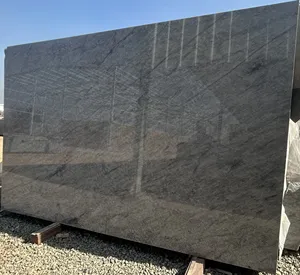 Fourniture d'usine de niveau supérieur Dalle de granit argenté Dyna indienne polie Cuisine moderne Conception d'hôtel Expédition internationale vers l'Inde - Product Image 5