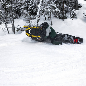 Moto de Nieve Ski-Doo Backcountry Adrenalinee 850 E-TEC ES Cobra 2024 - Product Image 3