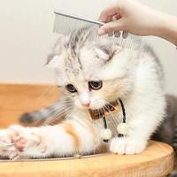 Sisir Perawatan Hewan Peliharaan Sederhana dari Baja Tahan Karat dengan Ujung Bulat - Alat Profesional untuk Bulu Anjing yang Panjang & Tebal Pegangan ABS Ramah Lingkungan