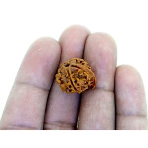 NOVAMART Fine Genuine Nepali Rudraksha 5 Mukhi Ganesh JI <b>Beaded</b> <b>Bracelets</b> for Gifts Wood & Quartz Accented Wholesale Export - Product Image 4