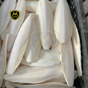 Hueso de Sepia (Alto en Calcio) - Ingrediente Natural para Alimentación |   Vietnam - Product Image 2