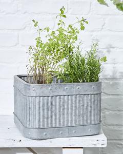 กระถางต้นไม้สไตล์วินเทจขายดี - Product Image 5