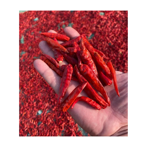 Épices et herbes uniques de haute qualité Piment rouge séché Piments séchés provenant du fournisseur 99GD Vietnam - Product Image 3