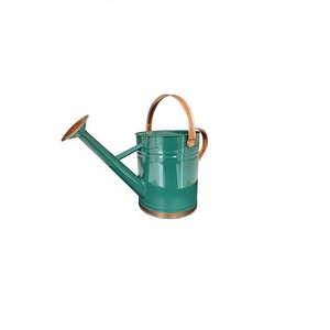 Big Size Plant Watering Can <b>Garden</b> Watering Can For Plants With Long Spout Comfortable Luxury Selling Solid Metal Watering <b>Cane</b> - Product Image 6