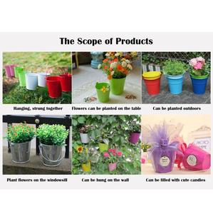 Cubo de cubo de Metal recubierto de polvo ecológico colorido Mango para decoración de jardín de Casa maceta de flores de estilo Vintage/moderno - Product Image 5