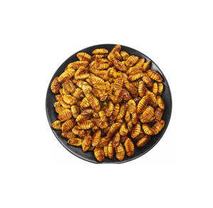 Pupa de Gusano de Seda Seca Premium, Polvo de Proteína Natural, Suplemento Alimenticio para Animales Pequeños, Potenciador Nutricional, <span class=keywords><strong>Aditivo</strong></span> Alimentario de Alta Calidad - Product Image 3