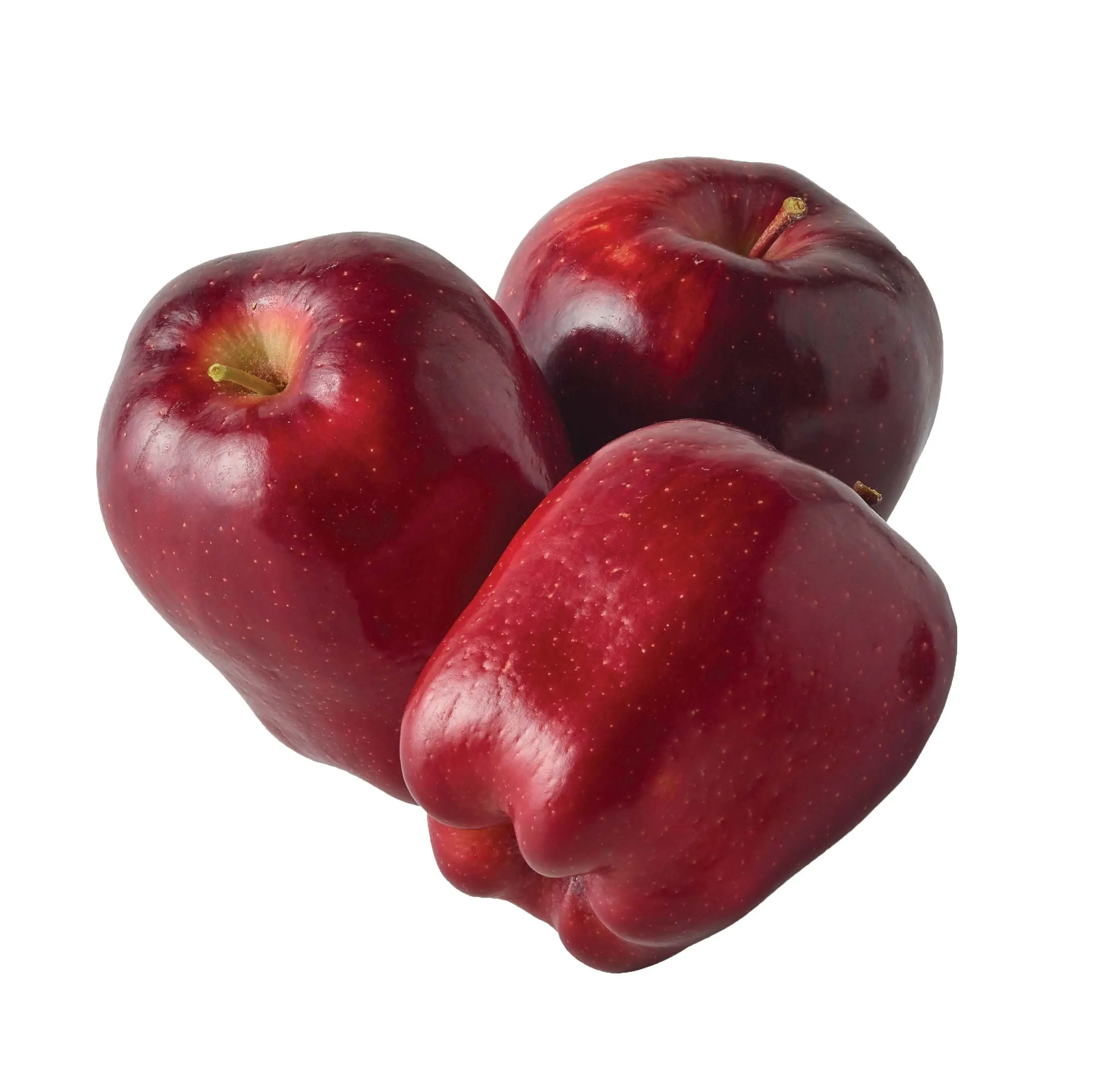 경쟁력있는 가격의 브라질 제조업체 유기농 사과에서 고급 새로운 작물 천연 신선한 빨강/녹색 사과