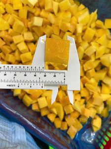 Moitiés de mangue congelées pour la production de desserts - Product Image 3