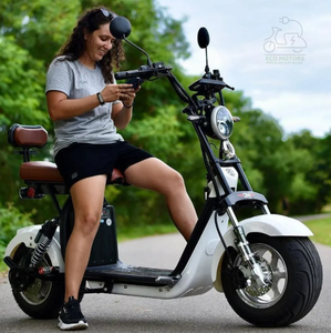 Vélo électrique 1000W X11 Wehawk prêt à être expédié, autonomie jusqu'à 45 km, en promotion - Product Image 1