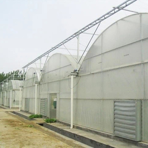 Professional Multi Span Film Greenhouse for Commercial Aquaponics and Hydroponic Lettuce Farming Solutions Supply Kit - Product Image 4