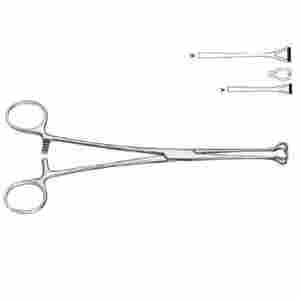 Babcock – pinces de préhension des organes et des tissus, produits de haute qualité, design OEM, prix d'usine, avec votre logo personnalisé - Product Image 2