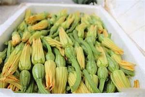 ดอกไม้ฟักทองแช่แข็งเป็นมิตรกับมังสวิรัติฉลากที่สะอาดผลิตภัณฑ์จากพืชทั้งหมดช่วยเพิ่มภูมิคุ้มกันส่วนผสมจากธรรมชาติ - Product Image 4