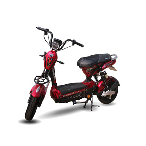 High Quality Before All 133fi Large Capacity Battery Central Motor Long Life Cheap Price Utility Electric Bike - Product Image 2