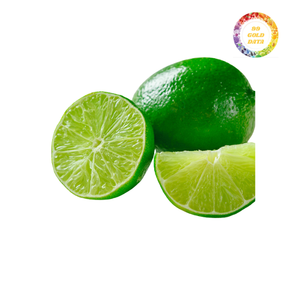 Segmentos de Lima congelada de alta calidad para la producción de bebidas y postres a precios asequibles con 99 GD - Product Image 2