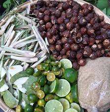 Polvo de Jabonera 100% Natural VIET DELTA de Bayas de Jabonera, Producto Agrícola, 5kg/bolsa, 12 Meses de Vida Útil - Product Image 4