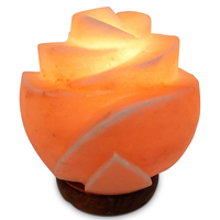 Lámpara de Sal del Himalaya Hecha a Mano, Combo Purificador de Aire USB, Formas de Luna, Pirámide, Cubo y Corazón para Hogar y Oficina, Venta al Por Mayor
