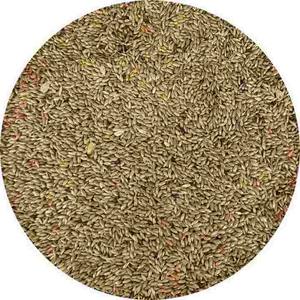 Semillas de calidad - Product Image 6