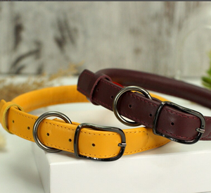 Custom Rolled Dog <b>Collar</b> with Name Tag <b>Collar</b> for Greyhound and <b>Whippet</b> - Product Image 2