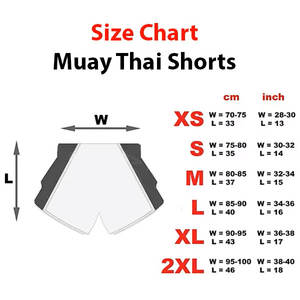 Shorts de Muay Thai Fairtex sur mesure de haute qualité, nouveau design imprimé, shorts de MMA pour la boxe professionnelle, pour une utilisation en salle de sport - Product Image 4