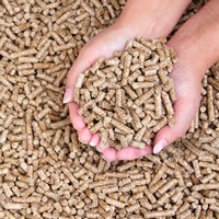 Granulés de bois combustibles en sac de 15 kg – Haute efficacité pour le chauffage
