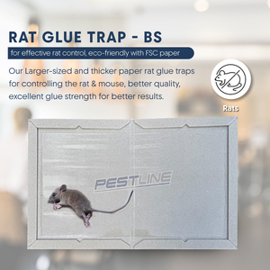 Heavy-Duty pestline kích thước lớn hơn 50 gam không mùi rat Keo Bẫy BS Gel mà không có mùi khó chịu - Product Image 6