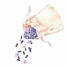 SAC ARÔME NATUREL À BASE DE PLANTES POUR ANIMAUX DE COMPAGNIE AVEC FEUILLE DE CATAPPA DE TERMINALIA PURE POUR LE SOUTIEN IMMUNITAIRE ET LE SOULAGEMENT DU STRESS - Product Image 2