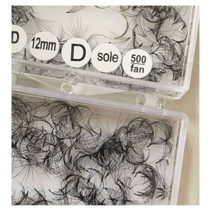 Extensions d'éventail de cils Camelia 6D faites à la main emballage de plateau de beauté fabricant vietnamien numéro de modèle facile - Product Image 6