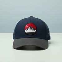 Casquette ajustée de style vintage haut de gamme |   Patch brodé tête de lion |   Logo personnalisé |   Argyle |   Gris marine pour les modes de vie actifs
