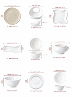 Assiettes en Céramique Blanches de Grossiste d'Usine par Ton, Services de Table en Porcelaine pour Hôtels et Restaurants
