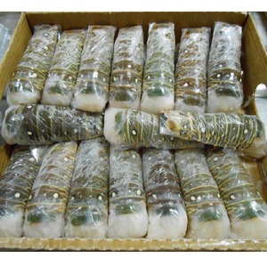 Cola de Langosta Congelada de la Mejor Calidad en Caja – Producto de Mariscos de Calidad de Exportación - Product Image 2